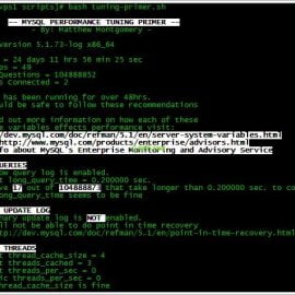 tuning-primer.sh output