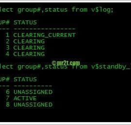 Redo Logs & Standby Redo Logs (Standby Database)