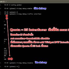 ปัญหา fortigate monitor interface bandwidth widget เต็ม
